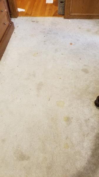 Carlo's Carpet Cleaning