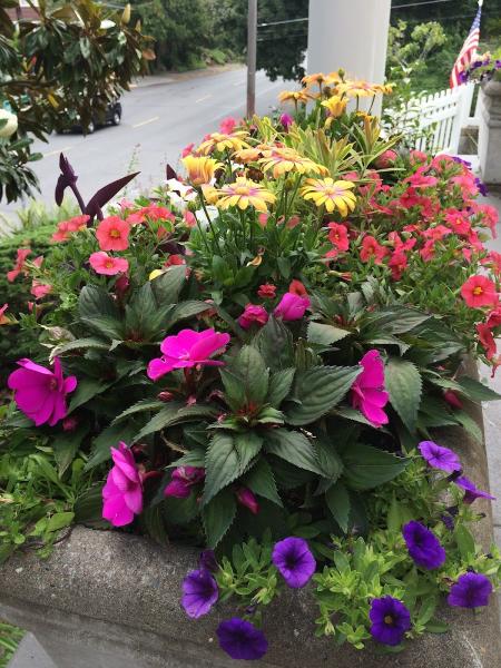 JA Fine Gardening & Design