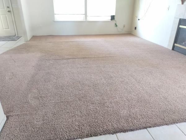 A Touch Above Restoration Carpet Cleaning