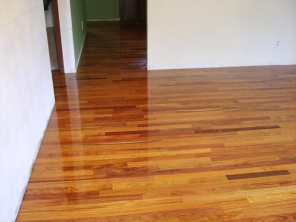 Blue Ribbon Premier Hardwoods
