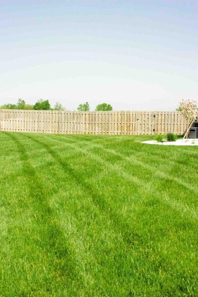 Grounds Services