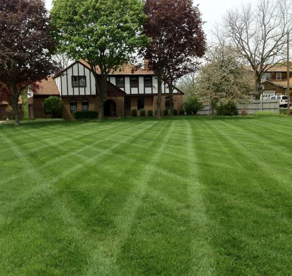 Green Turf Lawn Care