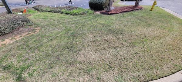 Garcia Bro's Landscaping