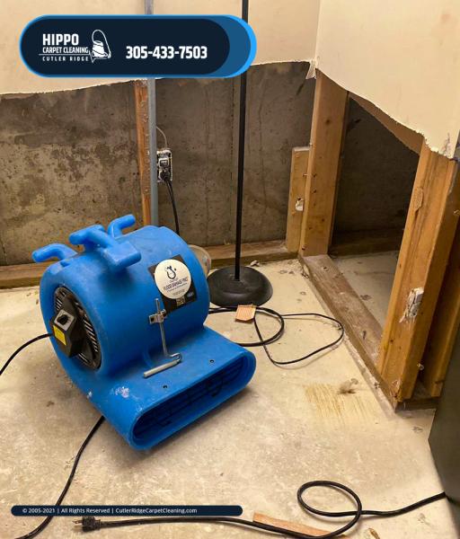 Hippo Carpet Cleaning Cutler Ridge