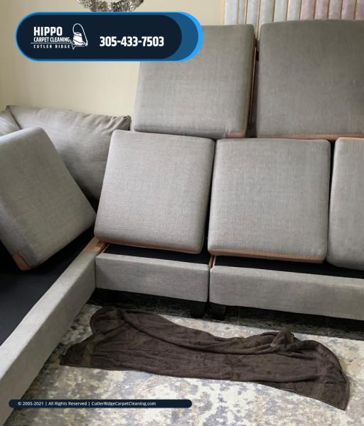 Hippo Carpet Cleaning Cutler Ridge