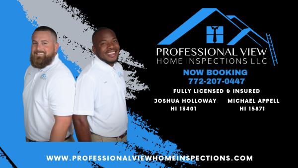 Professional View Home Inspections LLC