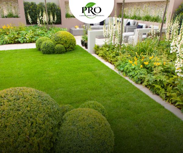 Pro Landscaping Company