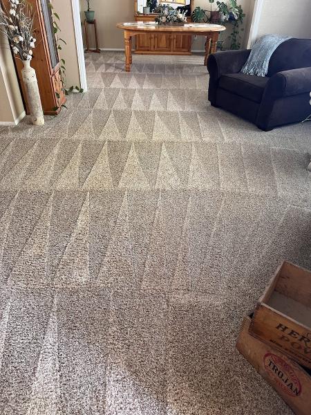 Pro-Touch Carpet Care