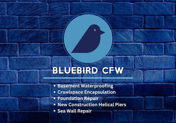 Bluebird CFW