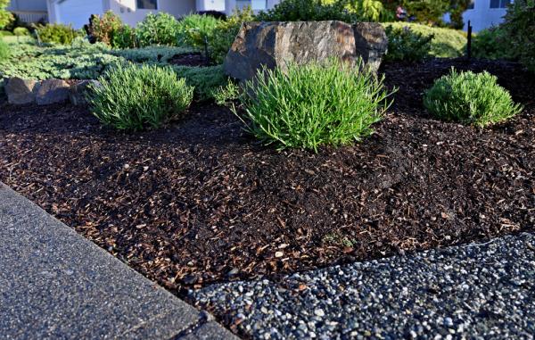 Bella Mulch