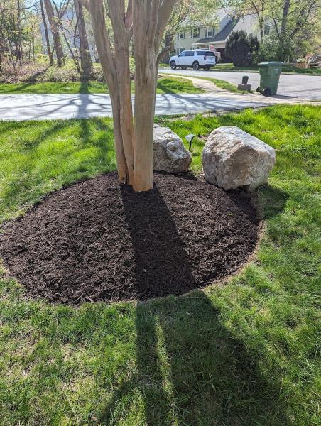 Darvin Landscaping Service