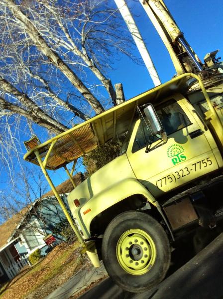 Reno Tree Service