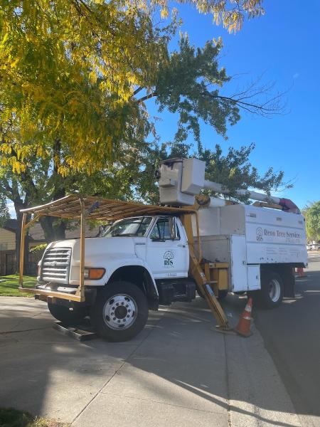 Reno Tree Service