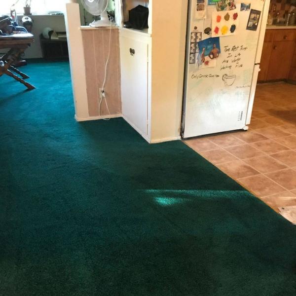 Bay Carpets and Upholstery Care