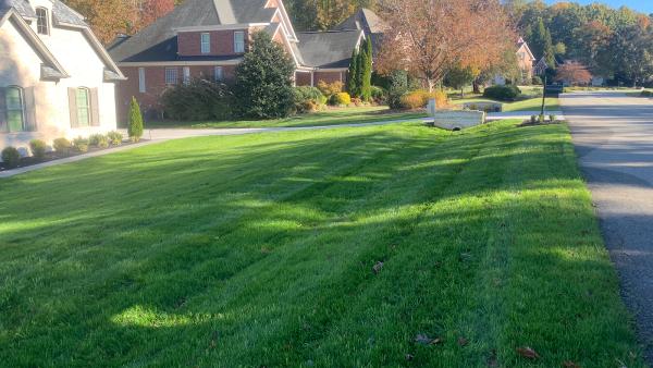 Ramirez Landscaping and Lighting