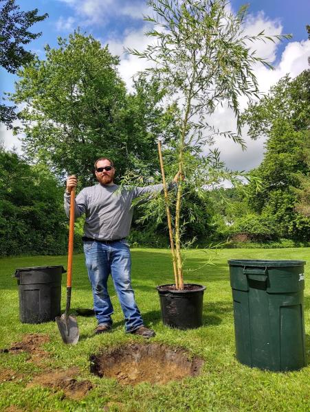 Al's Tree and Shrub Care