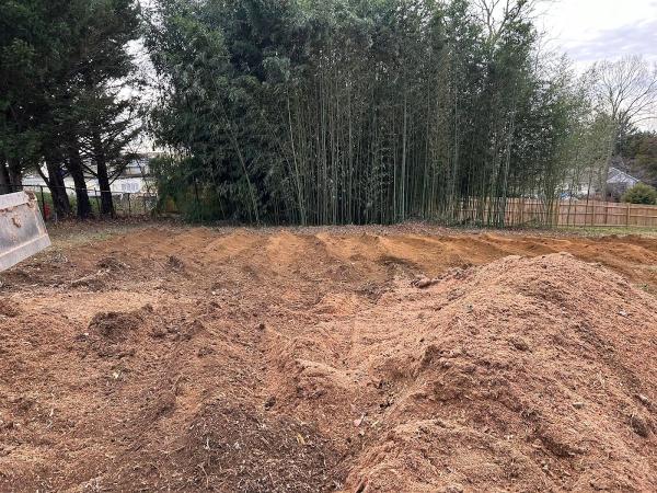 Coppermine Stump Removal & Outdoor Services