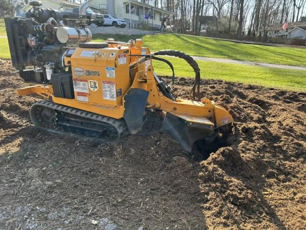 Coppermine Stump Removal & Outdoor Services