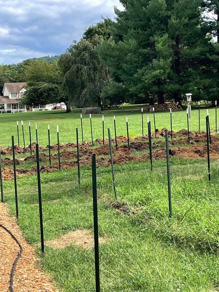Coppermine Stump Removal & Outdoor Services