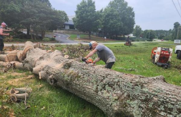 Barnes Landscape Professionals