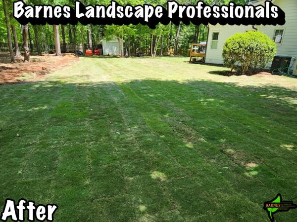 Barnes Landscape Professionals