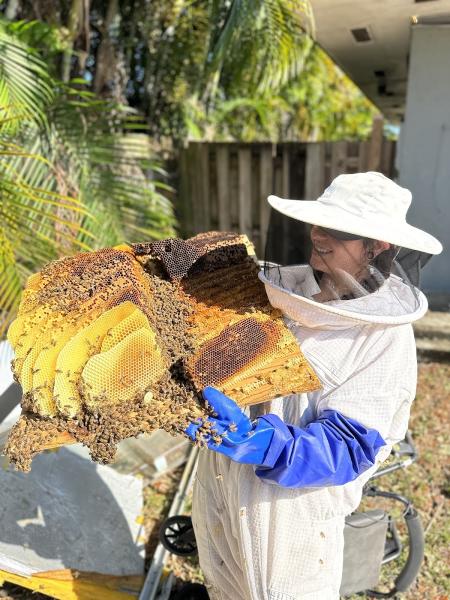 Mega Bee Rescues & Pest Control
