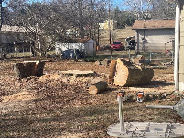 Bradley Tree Service & Excavating