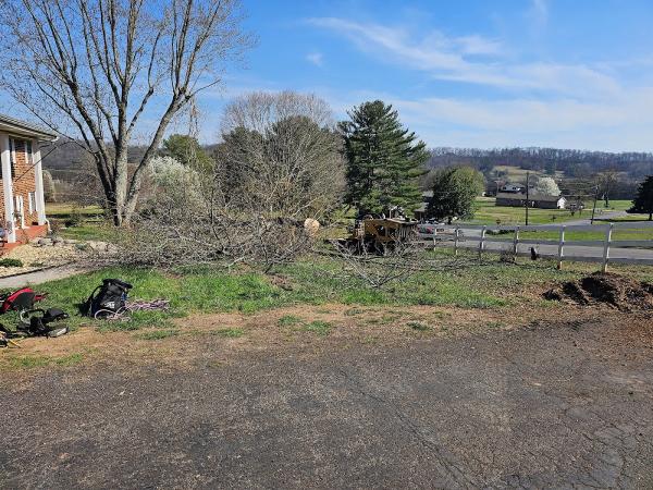 Bradley Tree Service & Excavating