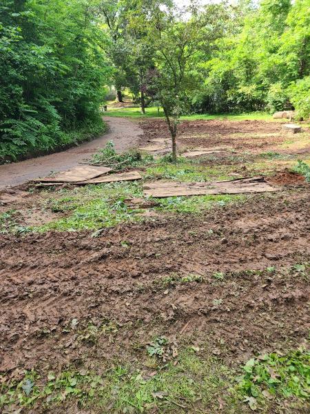Bradley Tree Service & Excavating