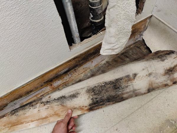 Risk Free Serv Water Damage Repair San Diego