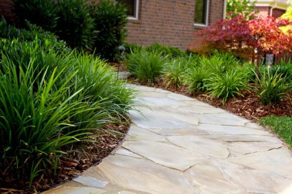 Landscape Innovations