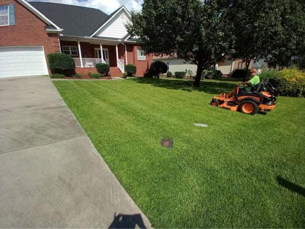Pinecone Lawn Care