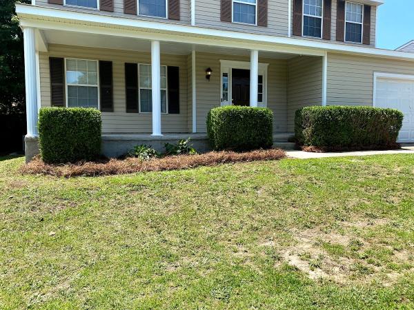 Pinecone Lawn Care