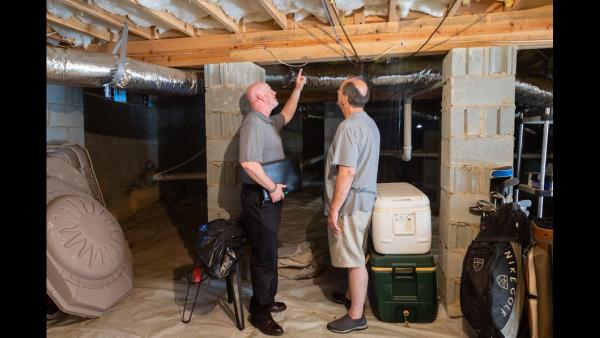 Carolina Mold Experts