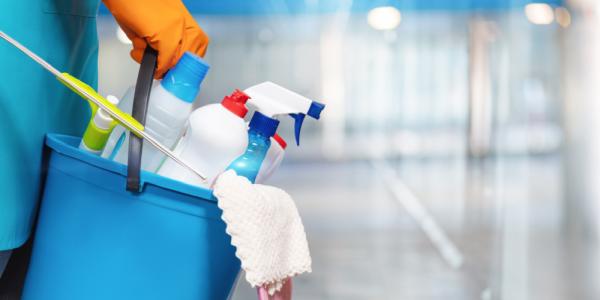 Domestic Cleaning Company