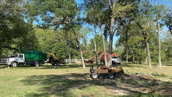 MCS Tree Services