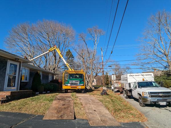 South Coast Tree Service Inc.