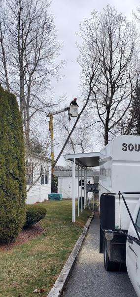 South Coast Tree Service Inc.