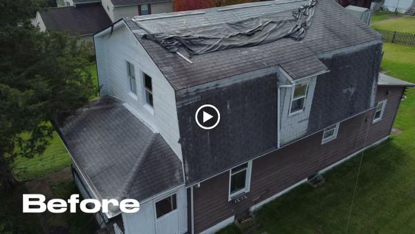 Drymaster Roofing