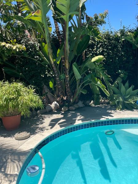Yard Doctors LLC