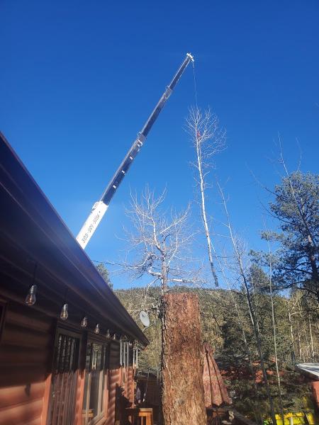 Good People Tree Service