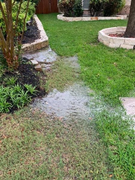 Lawn & Landscape Management