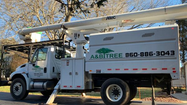 A&B Tree Service