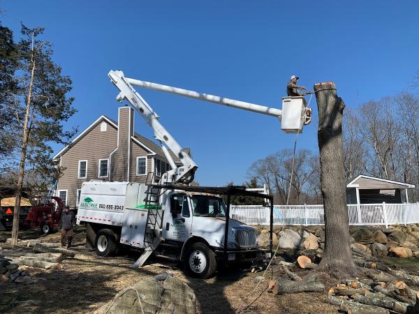 A&B Tree Service