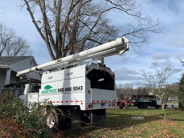 A&B Tree Service