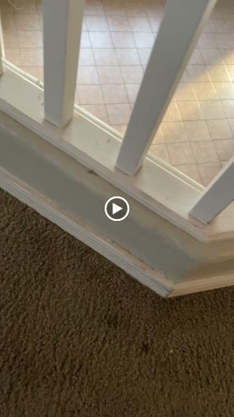 Maria G Cleaning Services Llc