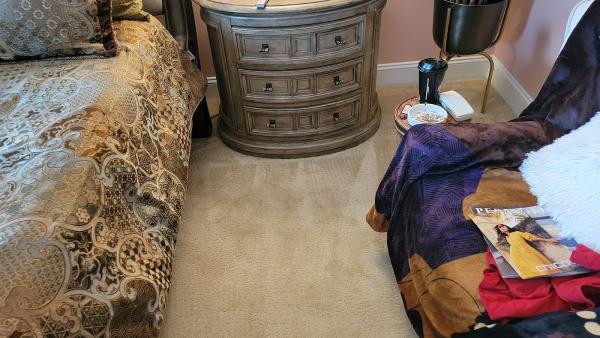 WOW Clean Team
