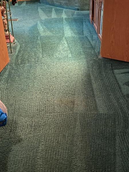 WOW Clean Team