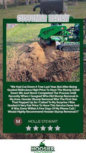 Hoosier Stump Remover
