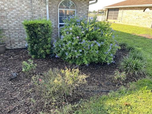 Blackwells Cleanup Services
